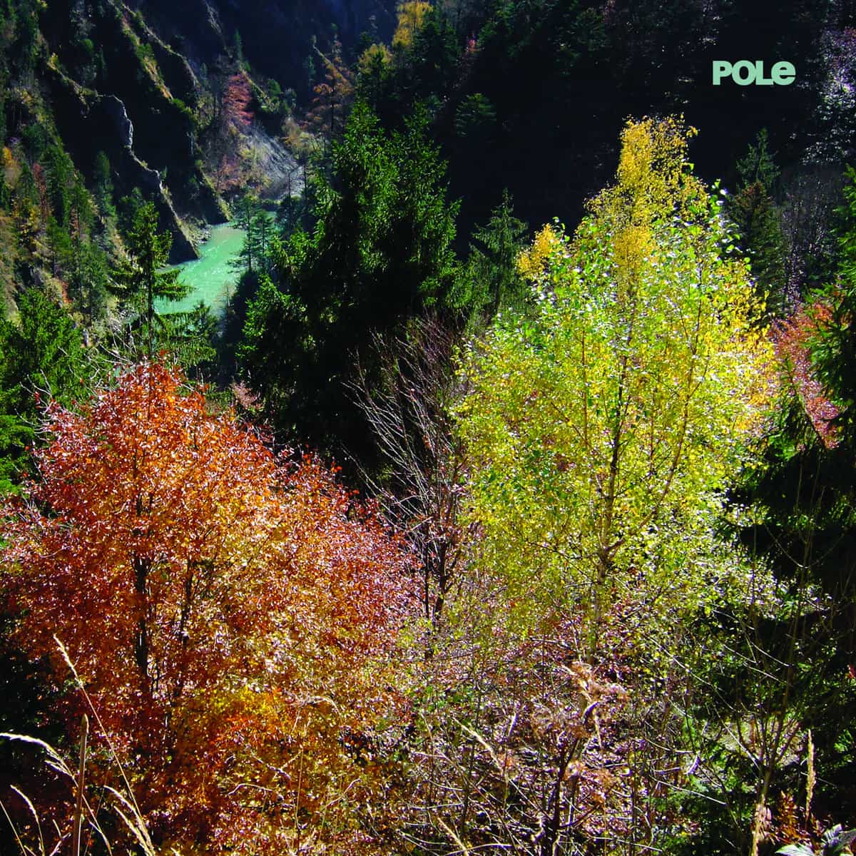 Pole - Wald
